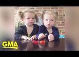 「フルーツスナックチャレンジに挑戦した双子　思わぬ結果に「残酷な2歳児」の声（米）＜動画あり＞」の画像1