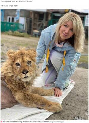 観光客との記念撮影のため脚を折られたライオンの子供 今は歩けるように 怒りのプーチン大統領が捜査命令 露 動画あり 年6月12日 エキサイトニュース
