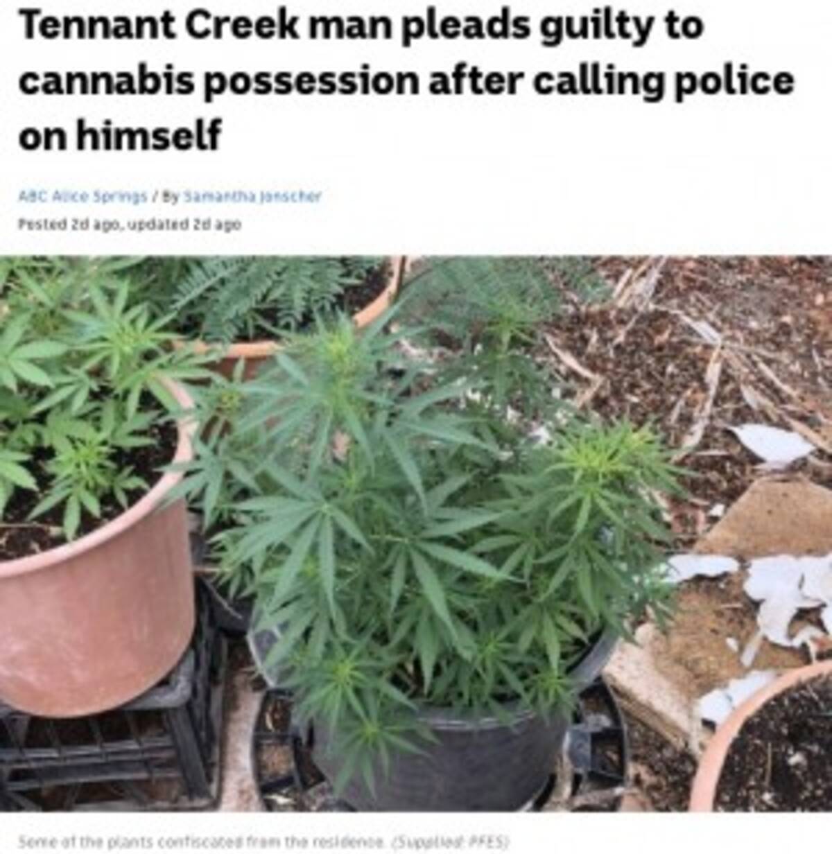 大麻が盗まれた 警察に通報した男 大量に栽培していたことが発覚し逮捕 豪 年6月16日 エキサイトニュース