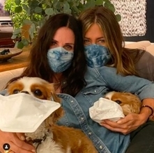 コートニー・コックスの愛犬達が「マスクをつけて！」　ジェニファー・アニストンも一緒に動画で呼びかけ
