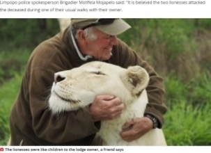 自然保護活動家、5年間育ててきた白ライオンに襲われ死亡（南ア）＜動画あり＞