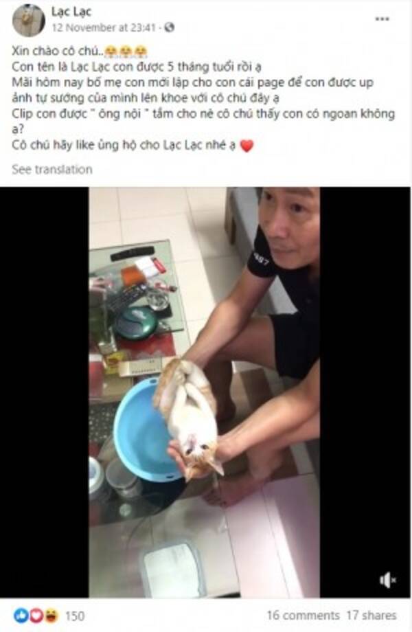 赤ちゃんの沐浴を息子夫婦に教える父親 モデルになった猫が完璧すぎて大人気に ベトナム 動画あり 年11月17日 エキサイトニュース