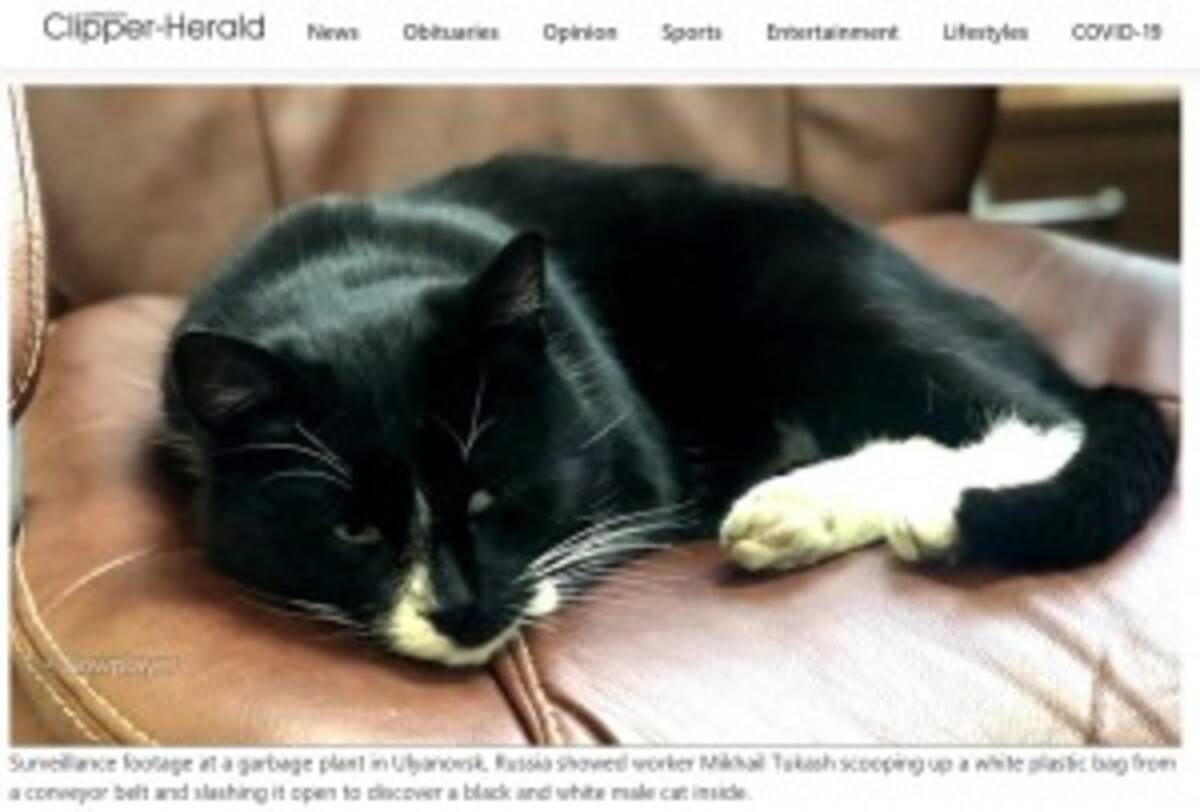 ゴミ処理場のベルトコンベアに流れてきた猫 間一髪で救出 露 動画あり 年12月27日 エキサイトニュース ゴミ処理場のベルトコンベアに流れてきた猫 間一髪で救出 露 動画あり 年12月27日 エキサイトニュース