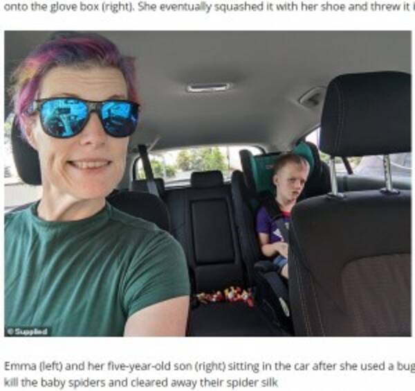 車内が まるでクモのパーティ会場よ 燻煙剤でその様子が明らかに 豪 21年1月8日 エキサイトニュース