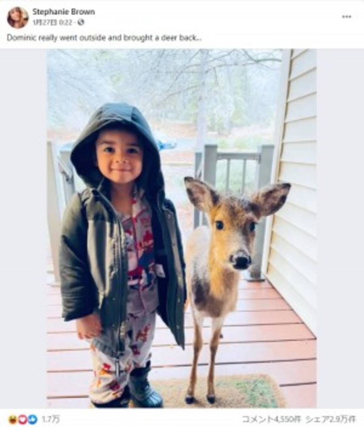 4歳男児が野生の小鹿と一緒に帰宅 子どもは不思議な力を持っているね 米 21年1月30日 エキサイトニュース
