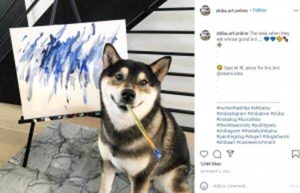 絵を描く柴犬 画家デビュー4年で売り上げ190万円超に カナダ 動画あり 21年2月5日 エキサイトニュース