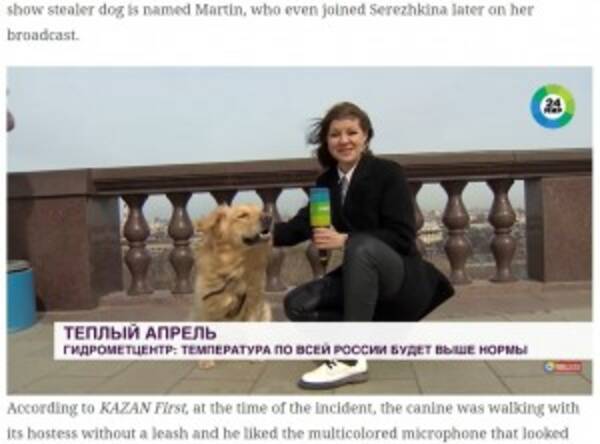 お天気リポーターのマイクを奪ったいたずら犬の映像が世界中に拡散 露 動画あり 21年4月5日 エキサイトニュース