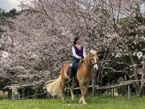“国民的美少女”佐藤藍子の今、馬に乗ってお花見する光景に「桜より美しい」の声