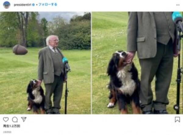 アイルランド大統領 生後6か月の子犬に甘噛みされながらも真顔で会見を続ける 動画あり 21年5月5日 エキサイトニュース