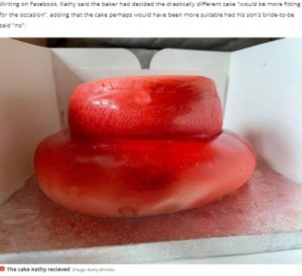 息子の婚約祝いのケーキ 鏡餅のような赤い物体に これは大きな吹き出物 英 21年5月19日 エキサイトニュース