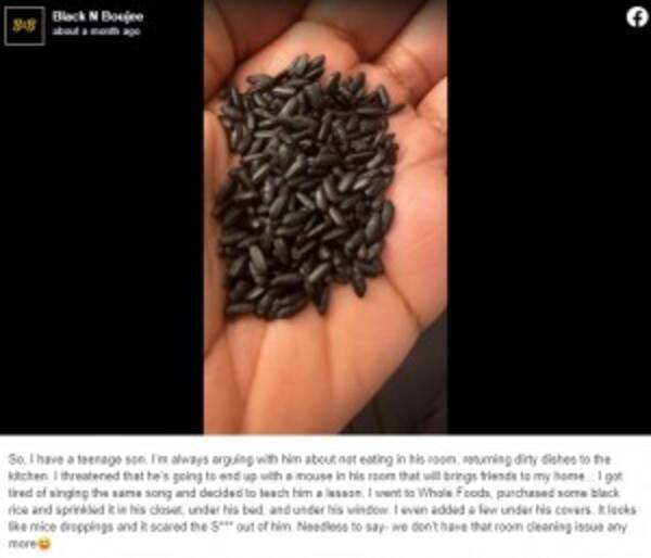 10代の子供にすぐさま部屋を掃除させる裏技 母の奇策 必要なのは玄米のみ 21年5月日 エキサイトニュース