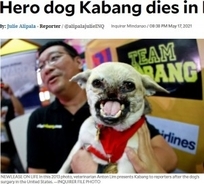 少女2人を救い顔の半分を失ったヒーロー犬、事故から10年後に亡くなる（フィリピン）＜動画あり＞