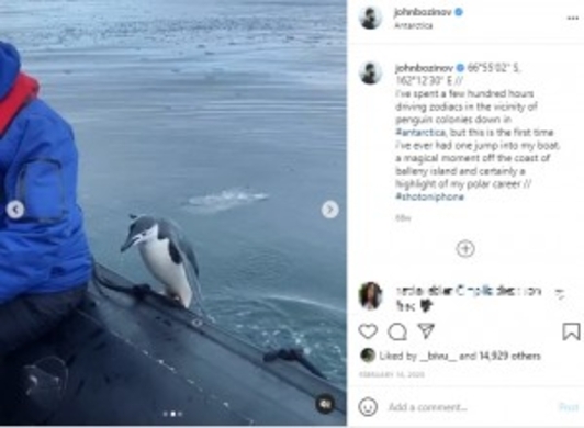 シャチから逃げるペンギンが観光客のボートに自ら避難 南極 動画あり 21年3月10日 エキサイトニュース