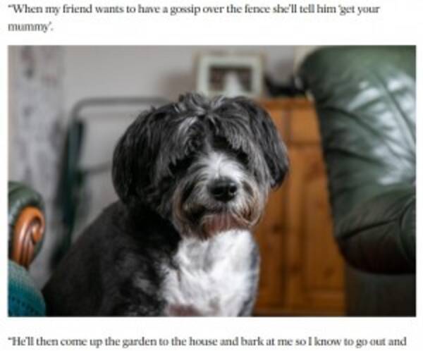 大好きなお隣さんの危機に気付いた犬 飼い主に知らせお手柄 スコットランド 21年5月27日 エキサイトニュース