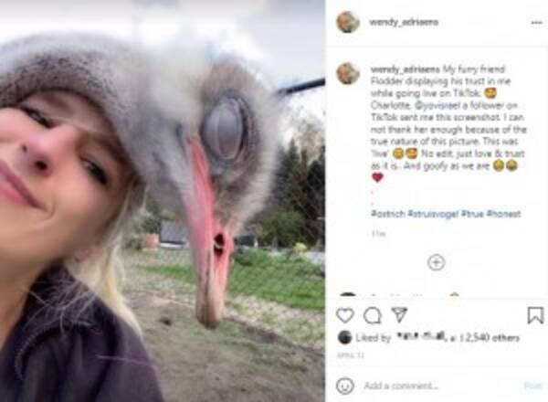 ダチョウと心交わす女性 攻撃されても 正しく育てれば決して危険ではない ベルギー 動画あり 21年6月30日 エキサイトニュース