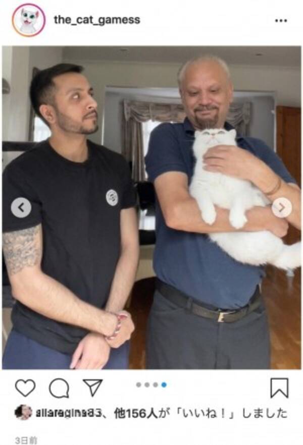 絶対飼わん 頑固な猫嫌いの父親 息子が連れてきた猫にメロメロに 英 動画あり 21年7月4日 エキサイトニュース