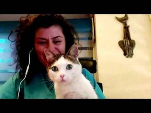 3本の足を失った猫 3dプリンタで作られた義足で歩けるように ギリシャ 動画あり 21年7月22日 エキサイトニュース