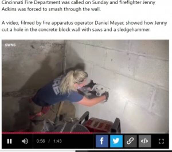 鳴き声がする と壁を破壊 5日間行方不明だった犬が救出される 米 動画あり 21年7月24日 エキサイトニュース