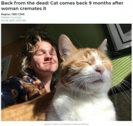 行方不明だった愛猫の訃報が届き火葬するも、9か月後に発見の知らせ　「他人の猫を火葬してしまった」（カナダ）