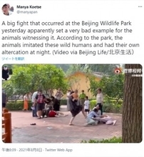 中国の動物園で来場客が大乱闘　人々は呆れ「動物たちのほうがよっぽどマナーがいい」＜動画あり＞