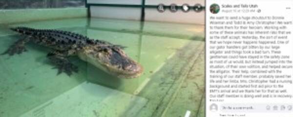 ワニに襲われた調教師を救った勇敢な男性 衝撃映像に驚愕 米 動画あり 21年8月19日 エキサイトニュース