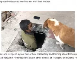 鳴き声がする と壁を破壊 5日間行方不明だった犬が救出される 米 動画あり 21年7月24日 エキサイトニュース