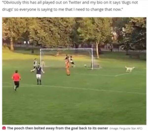 サッカーの試合中 犬が乱入しミラクルセーブ この場合のルールってどうなるんだ スコットランド 動画あり 21年8月29日 エキサイトニュース