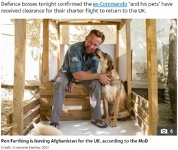 英・動物保護活動家、アフガニスタンから連れ出した170頭以上の犬猫に殺処分の可能性＜動画あり＞