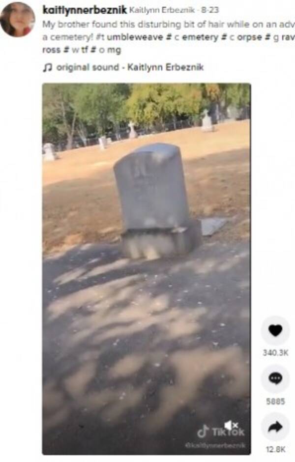 古いお墓のコンクリートの割れ目から飛び出した黒髪 いったい何が 米 動画あり 21年9月日 エキサイトニュース