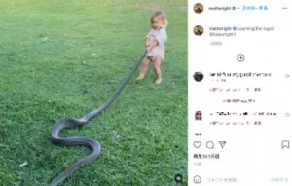 野生動物のエキスパート　2歳息子に巨大ヘビの扱い方を教育する姿に物議（豪）＜動画あり＞
