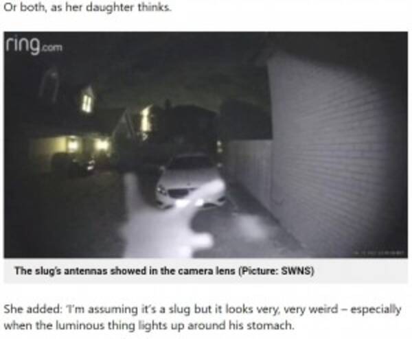 深夜の 訪問者 に身構えた女性 防犯カメラに映った犯人に エイリアン 英 動画あり 21年10月10日 エキサイトニュース