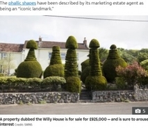 奇抜な庭木で“ウィリー（男性器）ハウス”と呼ばれる家、約1億4500万円で売りに（英）