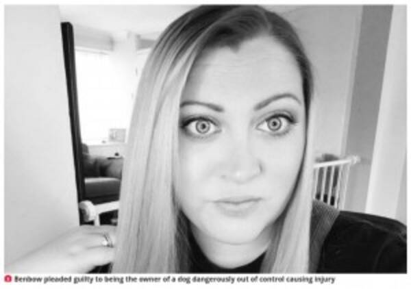 ロックダウンで初めて犬を飼った 無責任すぎる飼い主の家から逃亡した犬 男性に噛みつき安楽死させられる 英 21年10月21日 エキサイトニュース