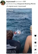 海のど真ん中で迷子になった子犬、通りかかったボートに救出される（米）＜動画あり＞