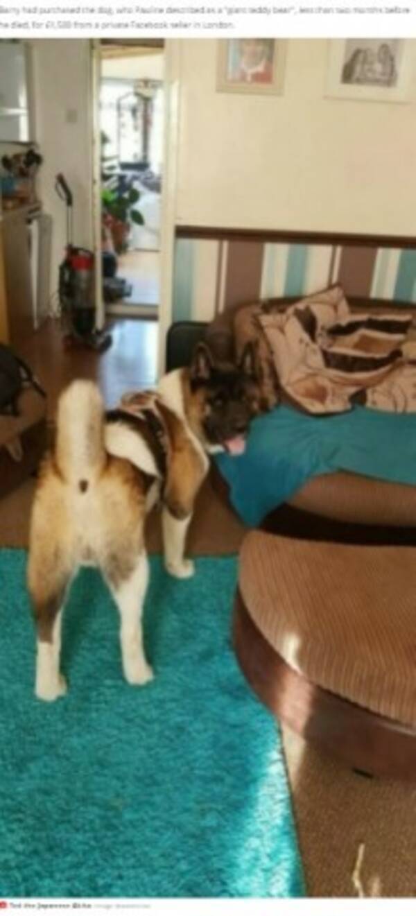 犬に噛まれた傷で弟を亡くした女性 夫も噛まれ両脚切断へ 英 21年10月22日 エキサイトニュース 犬に噛まれた傷で弟を亡くした女性 夫も噛まれ両脚切断へ 英 21年10月22日 エキサイトニュース