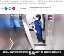 エレベーターで宙吊りになった犬、宅配業者が危機一髪で救出（中国）＜動画あり＞