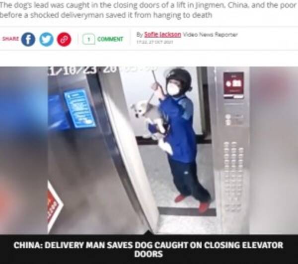 エレベーターで宙吊りになった犬 宅配業者が危機一髪で救出 中国 動画あり 21年10月28日 エキサイトニュース