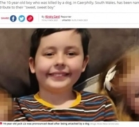 友人宅でピットブルに襲われた10歳男児が死亡、数日前にも腕を噛む事故（英）