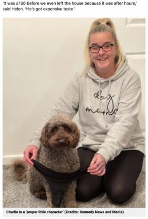 いたずら好きの犬が飼い主の下着を丸飲み 動物病院で無事に吐き出す 英 21年11月17日 エキサイトニュース いたずら好きの犬が飼い主の下着を丸飲み 動物病院で無事に吐き出す 英 21年11月17日 エキサイトニュース