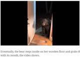 「「ドアを閉めて」と言われた野生のクマ　ドアノブを使って丁寧に閉める姿に驚き（米）＜動画あり＞」の画像1