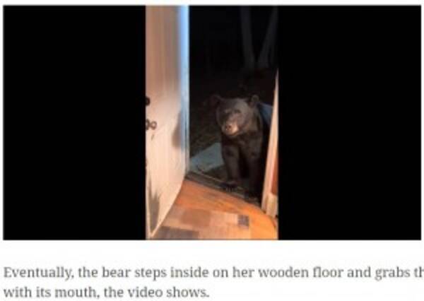 「ドアを閉めて」と言われた野生のクマ　ドアノブを使って丁寧に閉める姿に驚き（米）＜動画あり＞