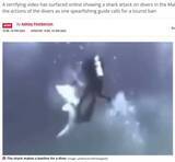 「サメがダイバーに次々と突進　恐怖の瞬間捉えるも「無防備すぎる」と非難の声（モルディブ）＜動画あり＞」の画像1