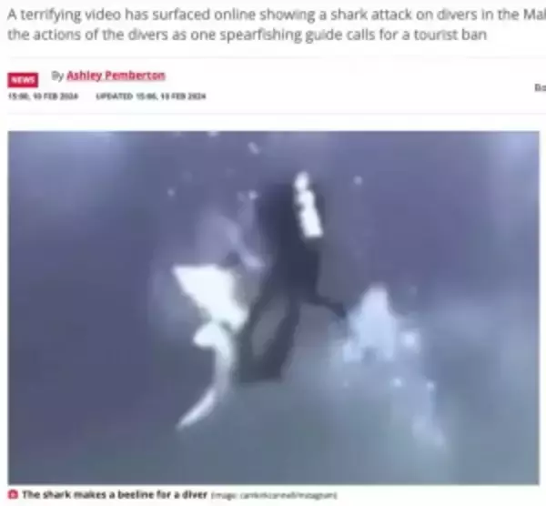 「サメがダイバーに次々と突進　恐怖の瞬間捉えるも「無防備すぎる」と非難の声（モルディブ）＜動画あり＞」の画像