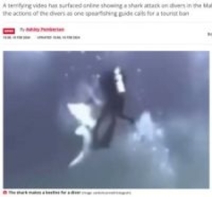 サメがダイバーに次々と突進　恐怖の瞬間捉えるも「無防備すぎる」と非難の声（モルディブ）＜動画あり＞