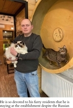 今も営業を続けるウクライナの猫カフェオーナー「この子たちは家族」「国を離れることはない」＜動画あり＞