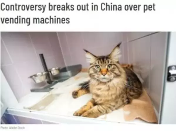 生きた猫を陳列した自動販売機に「動物虐待」と怒りの声（中国）＜動画あり＞
