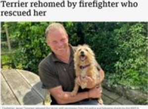 火災現場で亡くなった飼い主に寄り添う犬、消防隊員に引き取られて幸せな生活を送る（英）