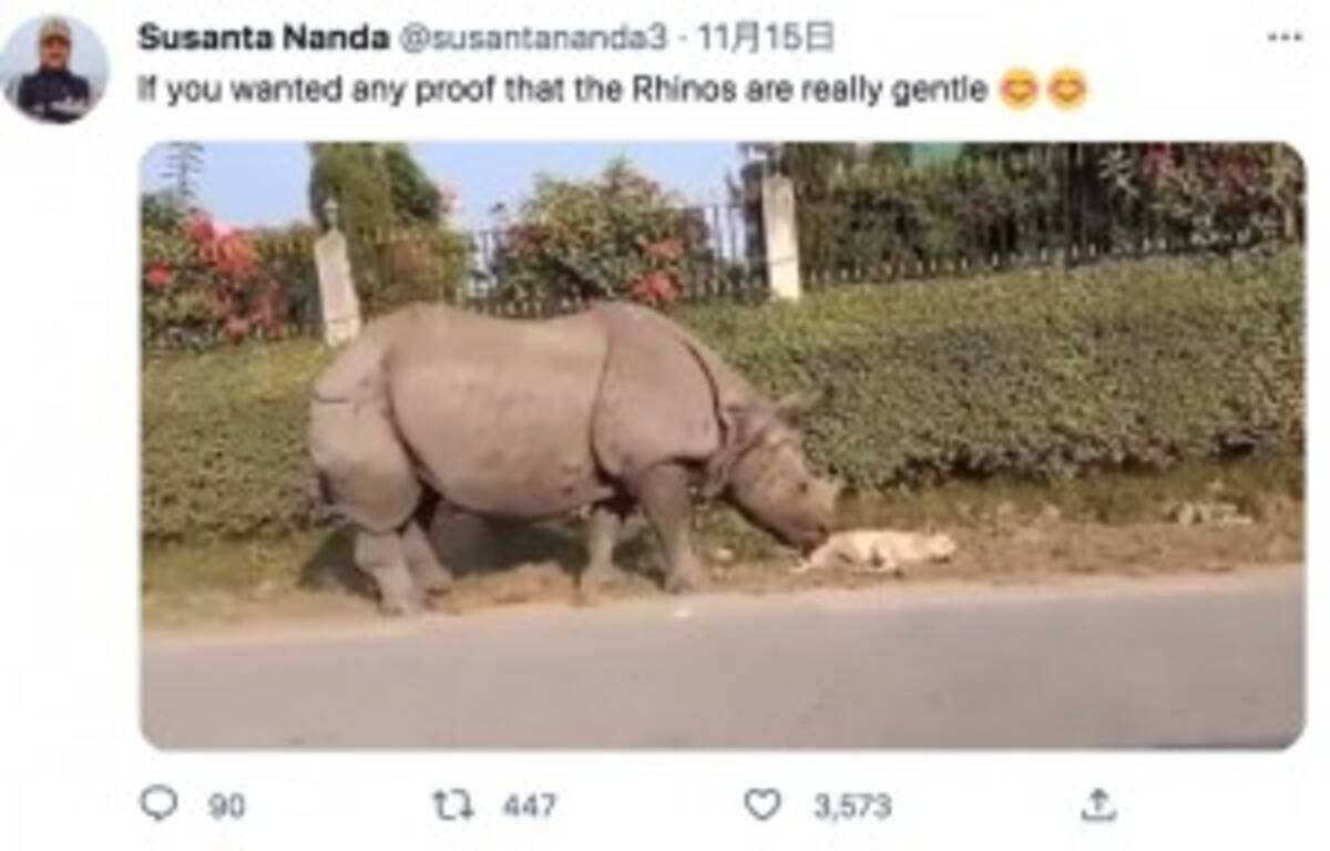 野生のサイに優しく起こされた昼寝中の犬 目覚めた瞬間パニックに ネパール 動画あり 22年11月17日 エキサイトニュース 野生のサイに優しく起こされた昼寝中の犬 目覚めた瞬間パニックに ネパール 動画あり 22年11月17日 エキサイトニュース