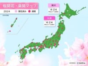 今日24日　旭川で桜開花　札幌で桜満開　札幌は統計開始以来2番目に早い満開に