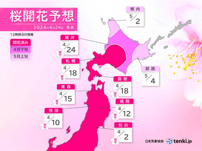 今日24日　旭川で桜開花　札幌で桜満開　札幌は統計開始以来2番目に早い満開に